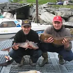 Fjordhytte-23 Direkt Am Sognefjord, Mit Mietbaren Motorbooten 9,9-60 Ps Bjordal (Hoyanger)
